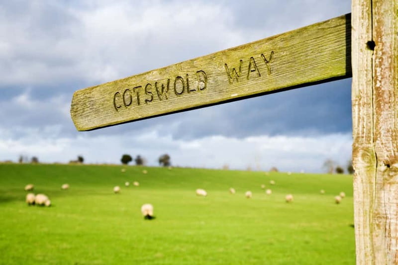 London: Cream Tea at Blenheim Palace & the Cotswolds Tour - Value for money: is $174 worth a Blenheim plus Cotswolds day?