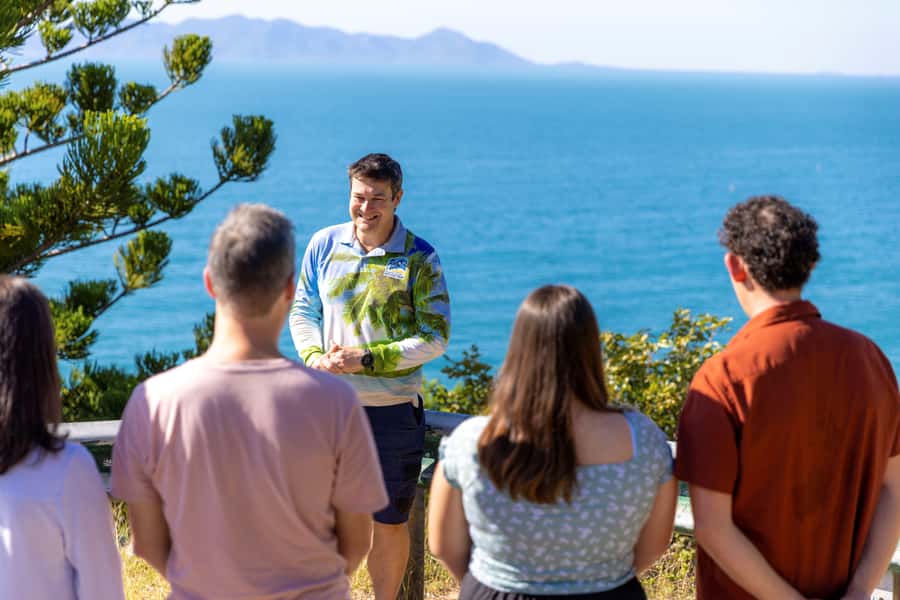 Magnetic Island: Guided Bus Tour with Morning Tea - Key points at a glance