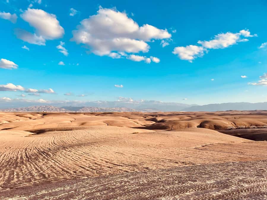 Marrakech: Agafay Desert Quad Bike Tour with Moroccan Tea - Key highlights you’ll care about
