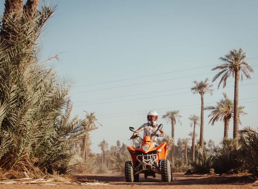 Marrakech: Desert and Palm Grove Quad Tour with Tea - Quad biking through rocky desert near Marrakech
