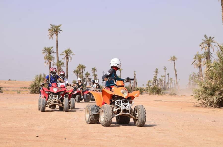 Marrakech: Desert and Palm Grove Sunset Quad Tour with Tea - Who This Tour Is Best For—and Who Should Skip It