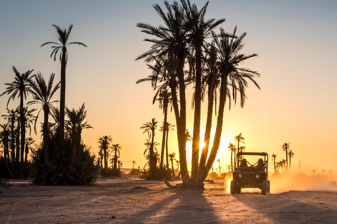 Marrakech Desert Buggy Tour Including Berber Tea Break and transfer - Key highlights to know before you go