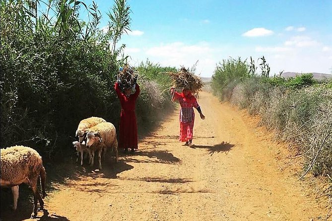 Marrakech Desert Buggy Tour Including Berber Tea Break and transfer - Modern buggies, small groups, and the guide factor