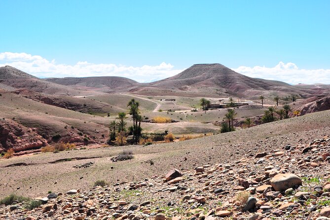 Marrakech Desert Buggy Tour Including Berber Tea Break and transfer - Price and value: what you really get for about $86.32