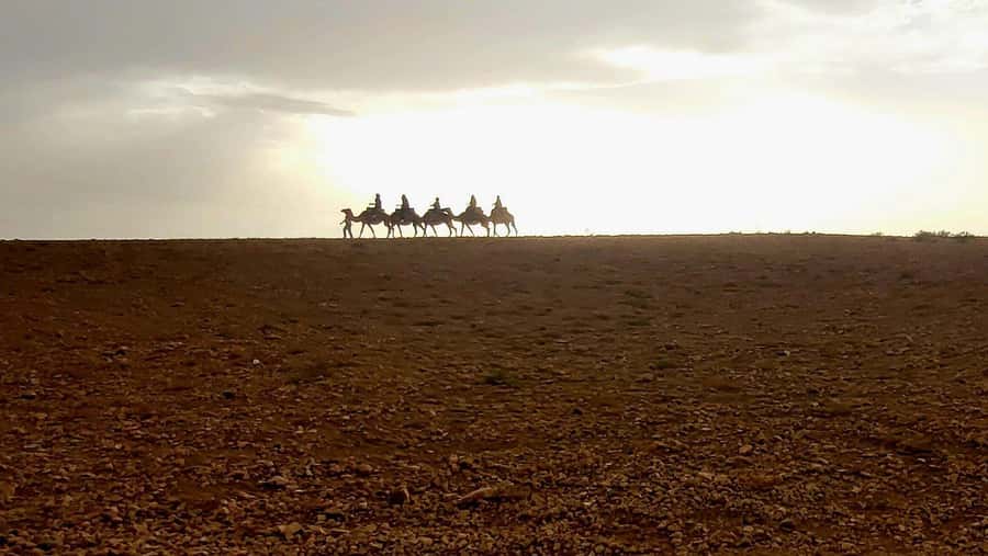 Marrakech: Desert Quad Bike Tour with Tea & Optional Dinner - What You Eat at the Desert Camp: Salad, Tajine-Style Meal, Fruits, and Plenty of It