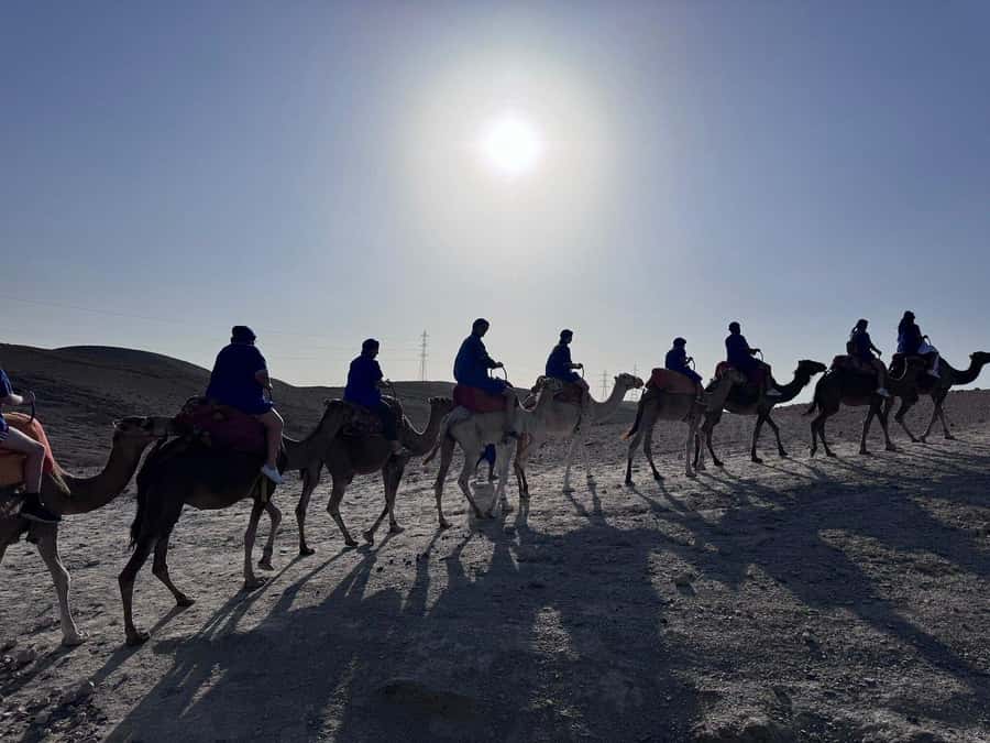 Marrakech: Desert Quad Bike Tour with Tea & Optional Dinner - Dinner Entertainment: Music, Dancing, and Fire Spinning Under the Night Sky