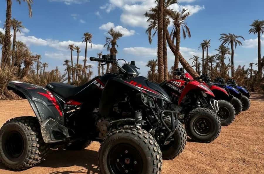 Marrakech: Dunes of the Palmeraie Quad Bike Ride with Tea - Moroccan Tea in the Palmeraie: Where the Tour Turns Social