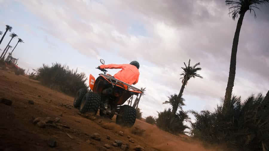 Marrakech:excursion quad in Oasis palm & jbilat desert,tea - The Tea Break Isn’t a Throwaway Moment