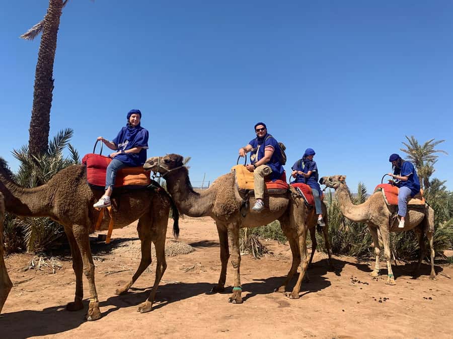 Marrakech: Guided Quad Bike and Camel Ride Tour with Tea - Why This Quad + Camel + Tea Mix Works So Well