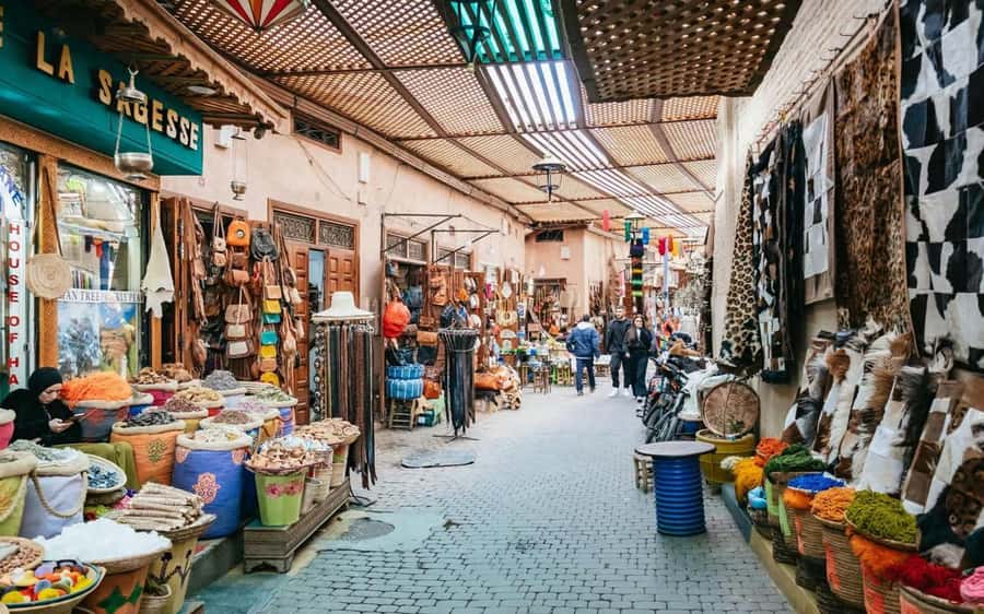 Marrakech Highlights: Guided City Tour With Local Guide - Medina neighborhoods: the tour that explains daily life