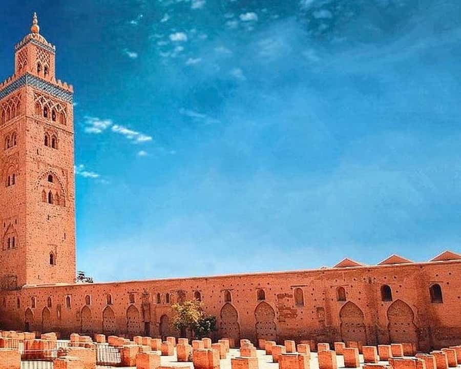Marrakech Highlights: Guided City Tour With Local Guide - Secret Garden in the Medina: calm gardens, real water tech