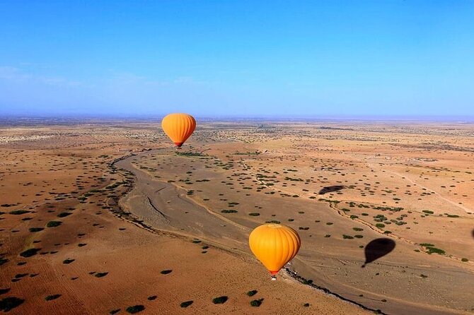 Marrakech Palm Grove Camel Ride with Tea-Break - Start Times That Fit Your Day (and Your Energy)