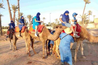 Marrakech Palm Grove Camel Ride with Tea-Break - The Camel Ride Through the Palmeraie: Views and Pace