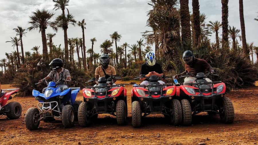 Marrakech: Palmeraie Guided Quad Biking Tour with Tea - The 2-Hour Quad Ride: How the Route Feels in Real Life