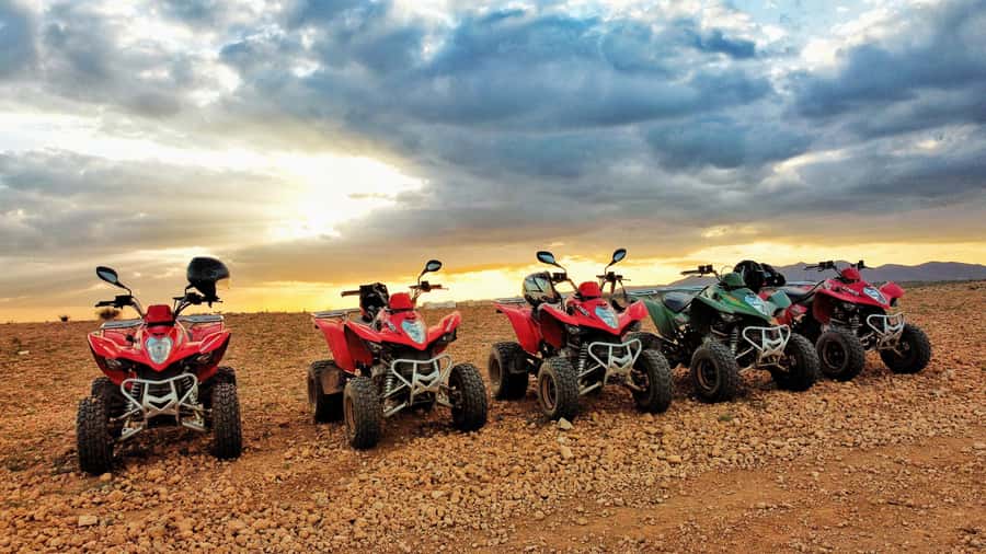 Marrakech: Palmeraie Guided Quad Biking Tour with Tea - Getting There From Your Riad: The Real Value in Marrakech