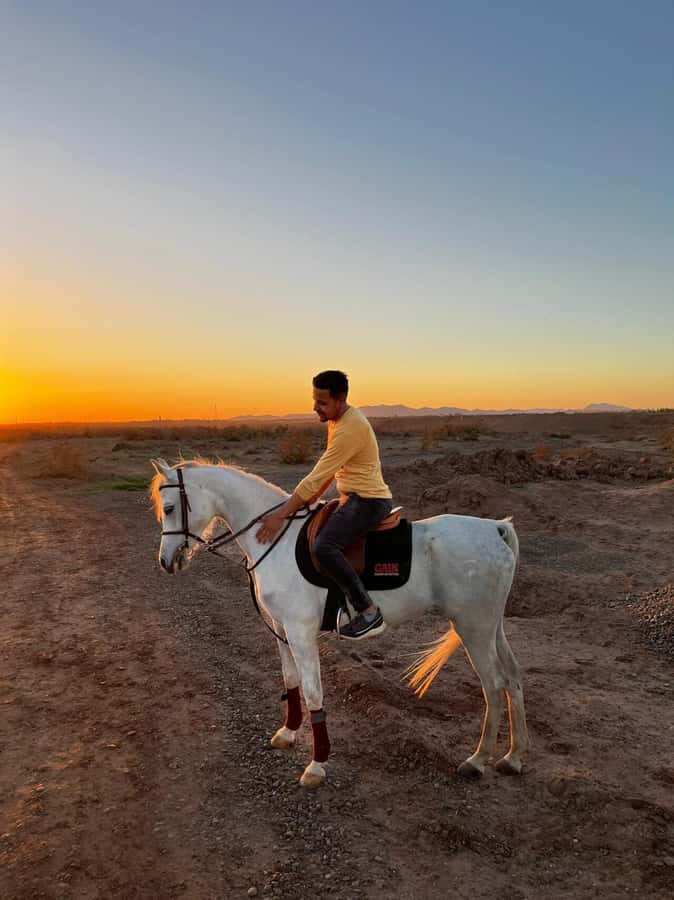 Marrakech: Private Horseback Tour in the Palm Grove with Tea - Why a Marrakech Palmeraie Horseback Tour Feels Different Than the City