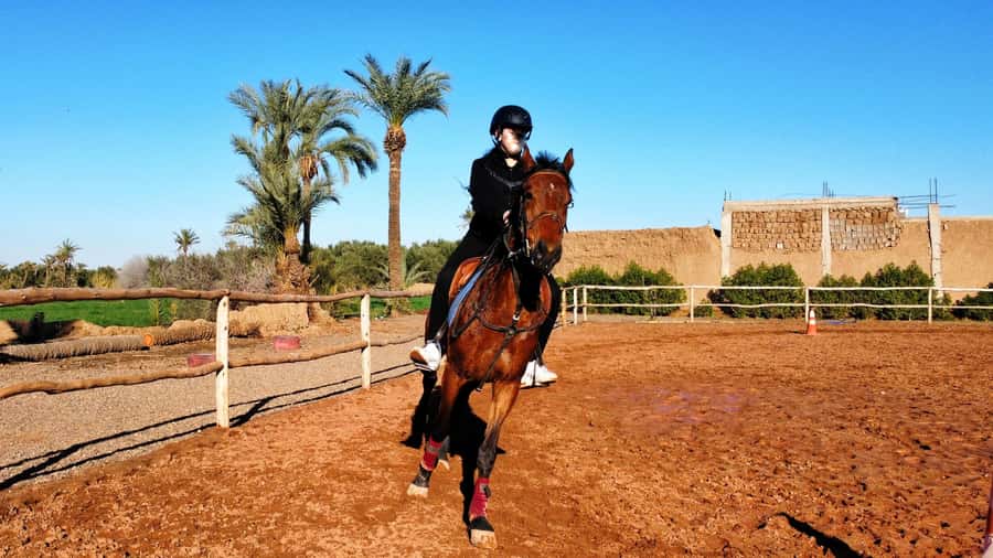 Marrakech: Private Horseback Tour in the Palm Grove with Tea - Getting From Medina to the Palmeraie: The Van Ride That Buys You Time