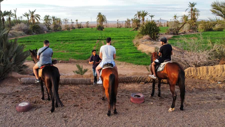 Marrakech: Private Horseback Tour in the Palm Grove with Tea - Riding Through Palms and Olive Groves: Walk, Trot, and the Gallop Moment