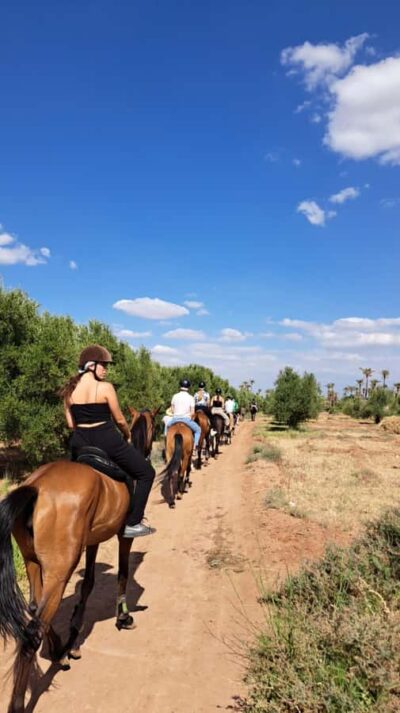 Marrakech: Private Horseback Tour in the Palm Grove with Tea - At the Stables: Horse Matching, Equipment, and How the Ride Starts