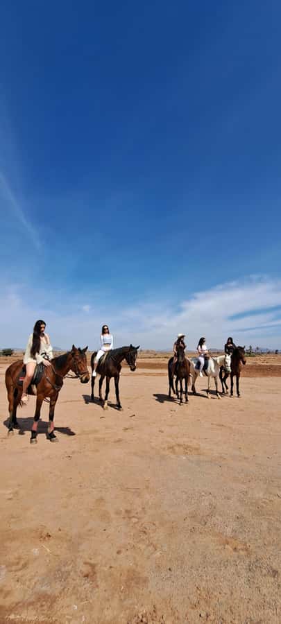 Marrakech: Private Horseback Tour in the Palm Grove with Tea - The Photo Stop and Tea in the Grove: Why This Break Matters