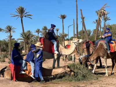 Marrakech: Quad Bike excursion at the sunset with Tea Break - Pickup in Marrakech and the Setup That Makes Riding Less Stressful
