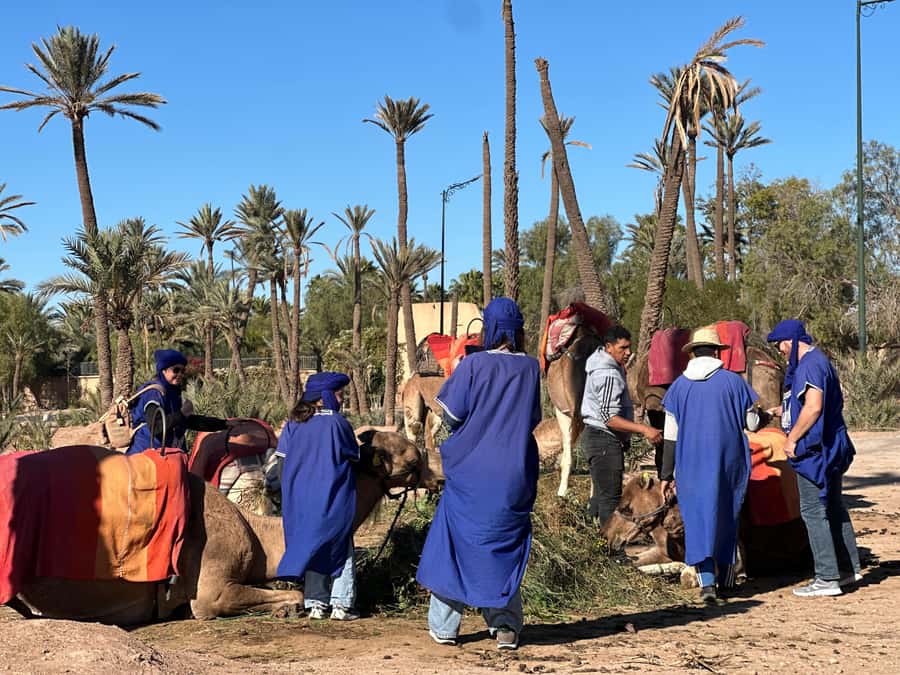 Marrakech: Quad Bike excursion at the sunset with Tea Break - Photos and Videos: Guides Who Actually Help You Get the Shot