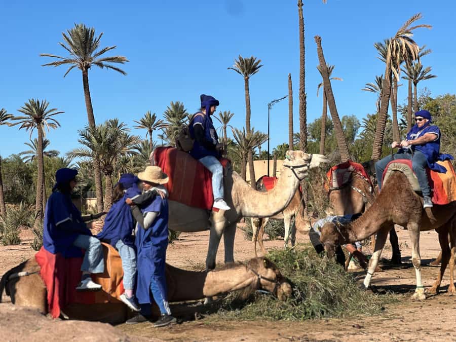 Marrakech: Quad Bike excursion at the sunset with Tea Break - Pickup in Marrakech and the Setup That Makes Riding Less Stressful