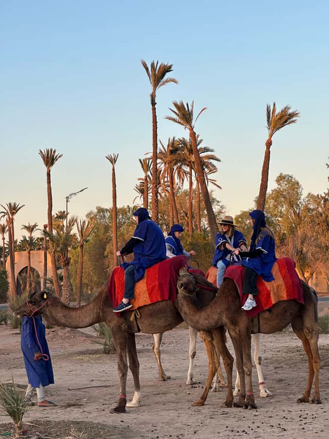 Marrakech:quad excursion at Jbilet desert with Moroccan tea - Marrakech Quad in the Jbilet Desert: Why This Mix of Speed and Calm Works