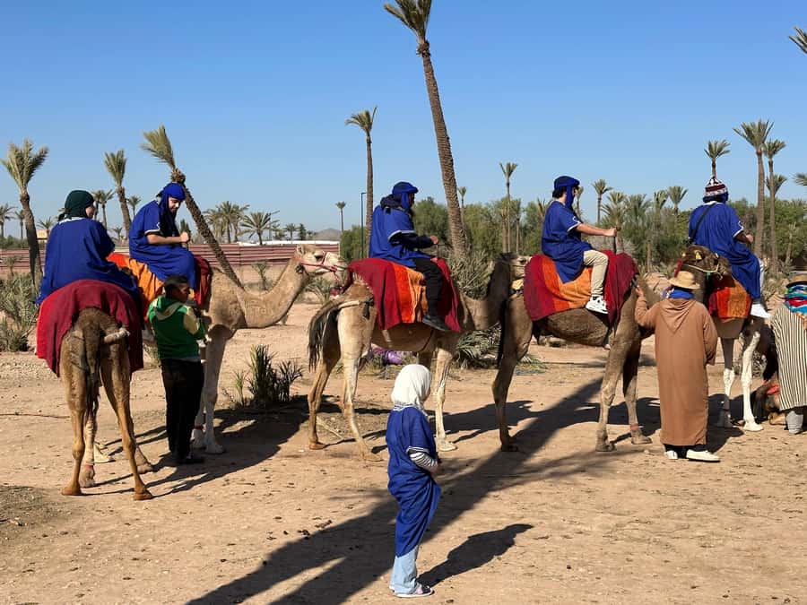 Marrakech:quad excursion at Jbilet desert with Moroccan tea - The Desert Tea Stop: Where the Day Turns Quiet