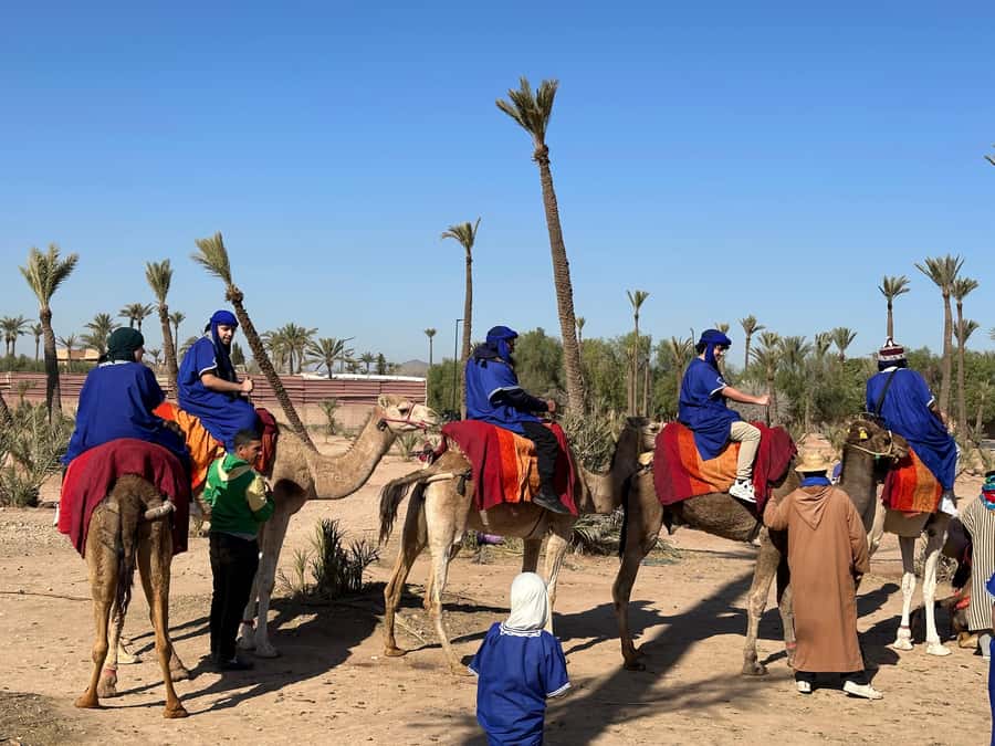 Marrakech:quad excursion at Jbilet desert with Moroccan tea - Guide and Safety: What “Feeling Secure” Looks Like