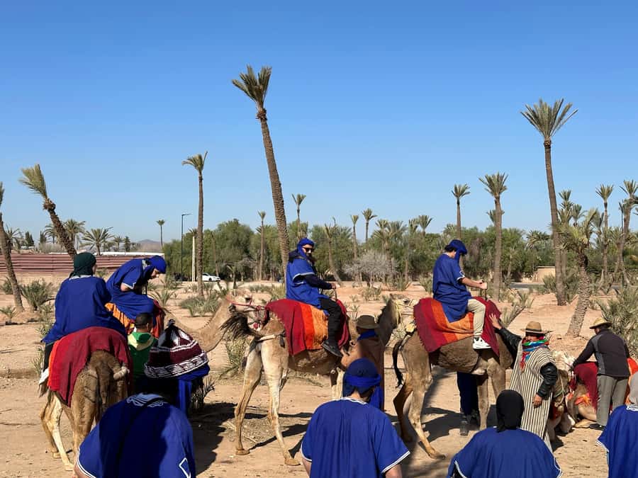Marrakech:quad excursion at Jbilet desert with Moroccan tea - Included Value: What Your $17 Gets You (and Why It’s Fair)