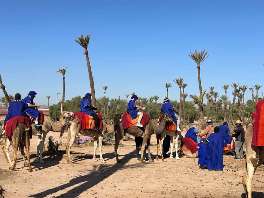 Marrakech:quad excursion at Jbilet desert with Moroccan tea - Practical Tips: Dress for Dust and Heat, Not Perfection