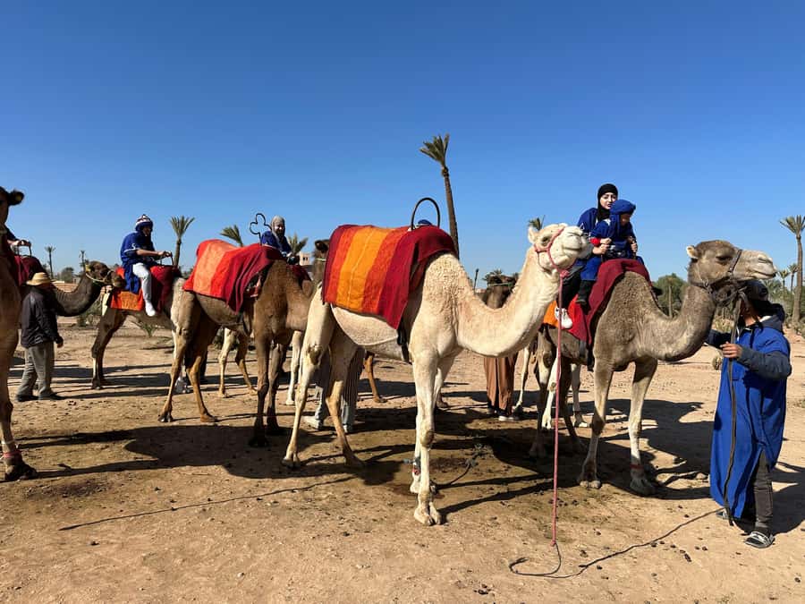 Marrakech:quad excursion at Jbilet desert with Moroccan tea - Getting There: Hotel Transfer and First Impressions