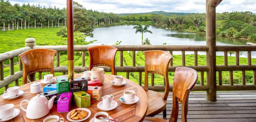Mauritius: Crocodile Park and Tea Factory Tour with Tasting - The tea museum: learning how tea shaped Mauritius