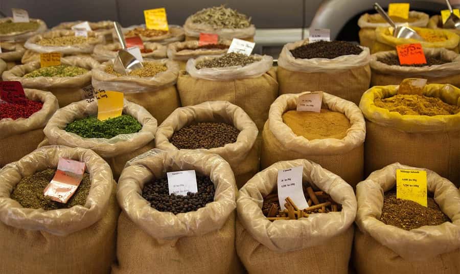 Mauritius: North Tour with Tea Tasting & Oceanarium Visit - Timing, entrance fees, and the one thing to confirm before pickup