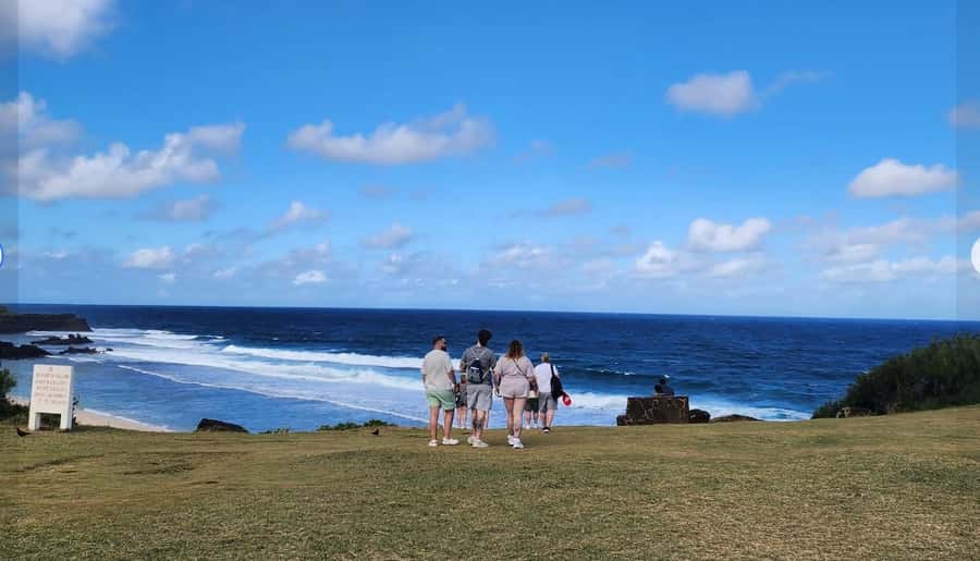 Mauritius: South Coast Tour with Tea Factory & Gris Gris - Key highlights to plan around