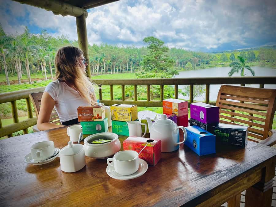 Mauritius: Tea, Rum and Vanilla Route with Lunch and Pickup - Le Domaine de Saint Aubin: Vanilla, Spices, Botany, and the Maison du Rhum
