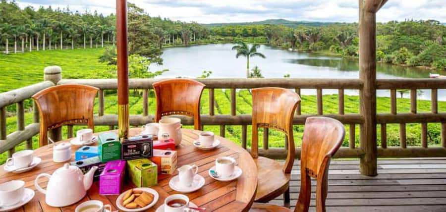 Mauritius: Tea, Rum and Vanilla Route with Lunch and Pickup - Price, Time, and Value: Is $310 for 7 Hours Worth It?