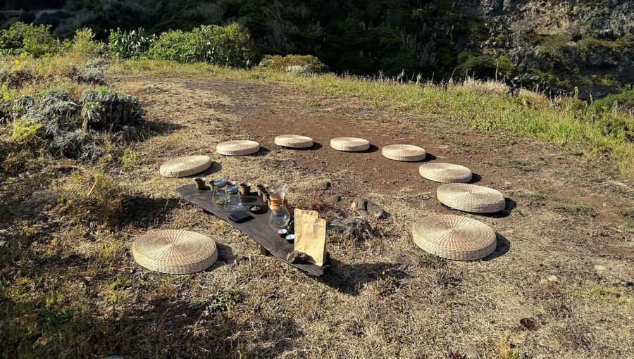 Mindful Tea Ceremony in Hidden Nature of Madeira - What you’re paying for at $35 per person