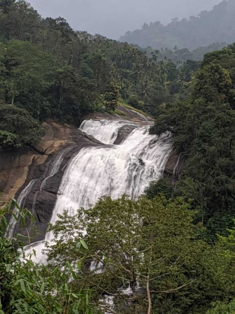 Munnar: Tea Garden and Elephant Safari Trip by 4x4 - Tea Garden to Elephant Land: What Makes This Trip Special
