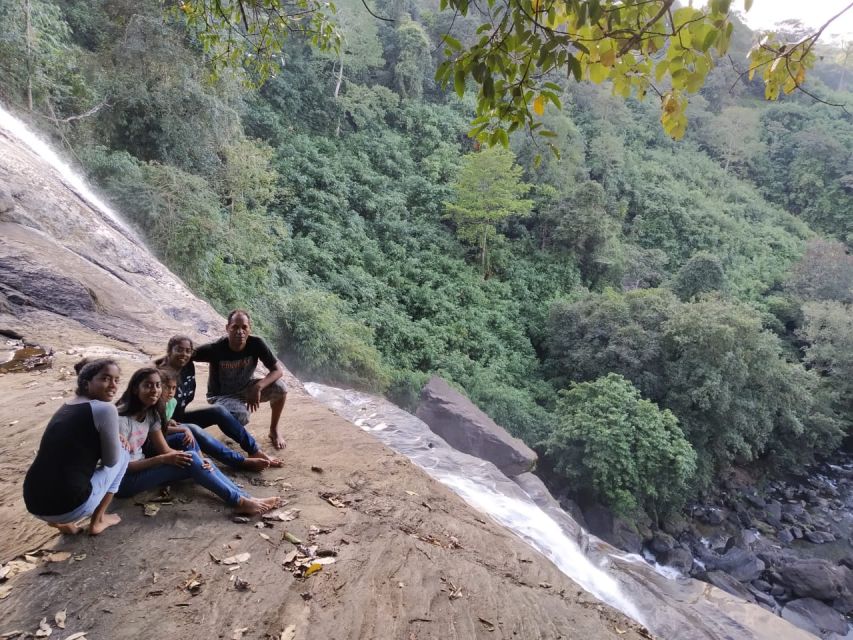 Munnar: Tea Garden and Elephant Safari Trip by 4x4 - Munnar’s 4x4 Sweet Spot: Why This Works for a Short Trip