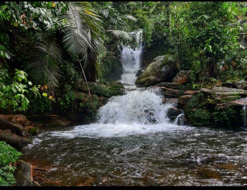 Munnar: Tea Garden and Elephant Safari Trip by 4x4 - Spice Garden Roads: Cardamom, Pepper, and Why the Drive Matters