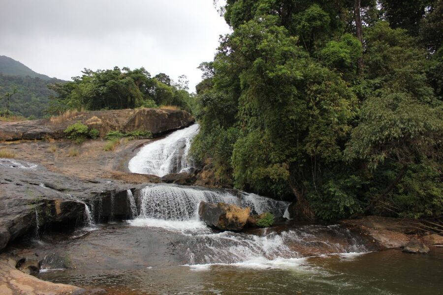 Munnar: Tea Garden and Elephant Safari Trip by 4x4 - Letchmi (Lakshmi) Hills Plantation: Tea Estate Time You Can Actually Use
