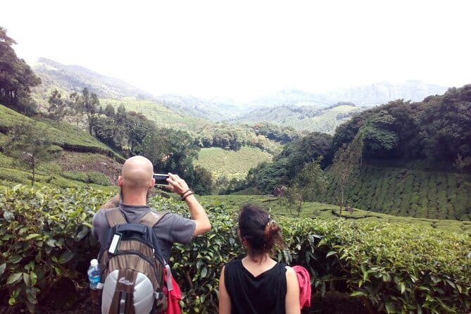 Munnar Tea Plantation Evening walking with Sunset View - Key highlights to know before you go
