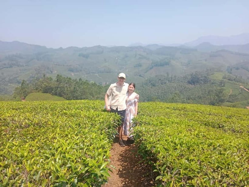 Munnar: Tea trail, Tea Factory, and Tea Tasting Tour - Key highlights you’ll care about