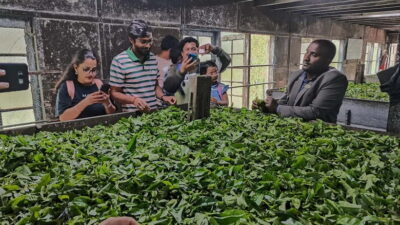 Munnar: Tea trail, Tea Factory, and Tea Tasting Tour - Lockhart Tea Factory & Museum: how tea goes from leaf to grade