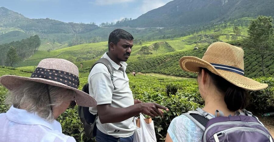 Munnar: Tea trail, Tea Factory, and Tea Tasting Tour - Tea culture details that make this tour feel human