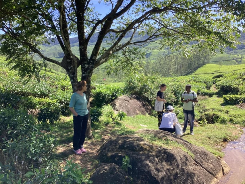 Munnar: Tea trail, Tea Factory, and Tea Tasting Tour - Price and value: is $13 per person actually a good deal?