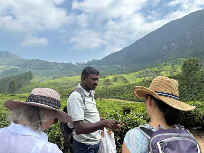 Munnar: Tea trail, Tea Factory, and Tea Tasting Tour - Time, meeting, and practical logistics that can trip you up