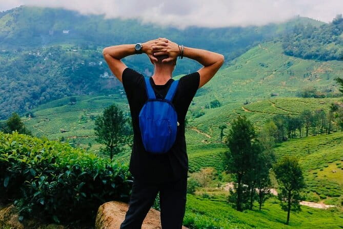 Munnar Tea Trail Tour , Tea factory visit & Tea Tasting - Walking Lockhart Tea Estate: views, pace, and what you learn on the trail